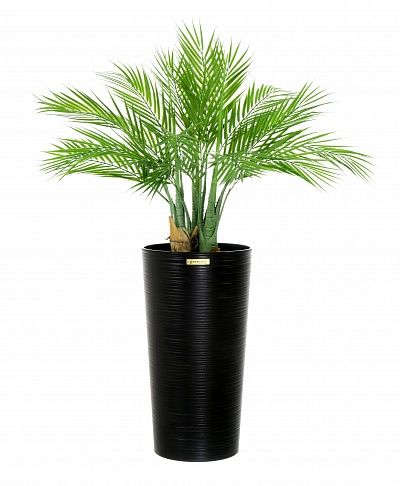 Palm Pichino Fitta Cachepot Dekollete Serso 46