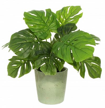 Monstera Moran Duo Cachepot Dekollete Concrete 17