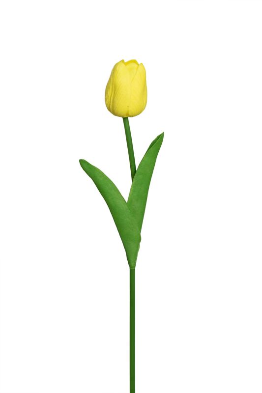 Closed tulip (white)