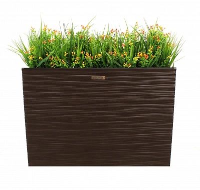 Dali sedge Dekollete 36