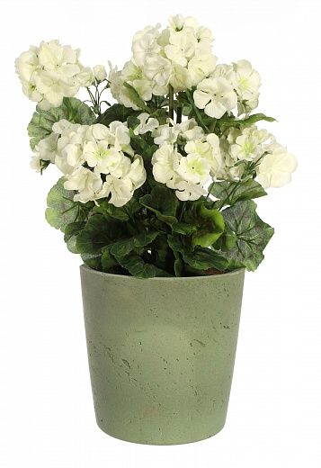 Geranium Rizado cachepot Dekollete Concrete 17