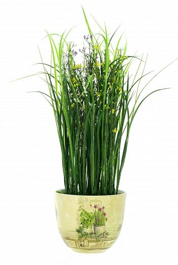 Composition Gypsophila Bilbao Dekollete planter 22 available to order 1 piece