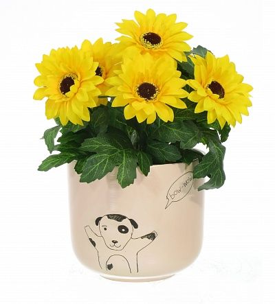 Gerbera Laura cachepot Dekollete 12 available to order 6 pieces