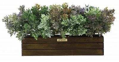 Frontera 40*10 boxwood Nira