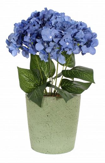 Hydrangea Satie cachepot Dekollete Concrete 17