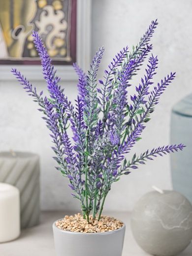 Lavender Sirt cachepot Dekollete Piccolo 8