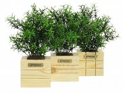 Rosemary Ferko Dekollete Cube 10 planter