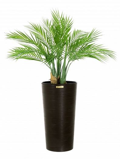 Palm Pichino Fitta Cachepot Dekollete Serso 46