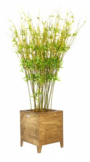 Japanese Nagato bamboo cachepot Dekollete available 1 piece