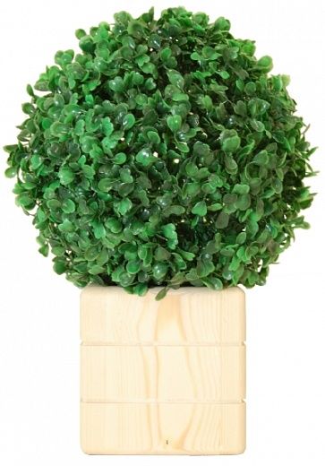 Boxwood Beni pot Dekollete Hulk W12