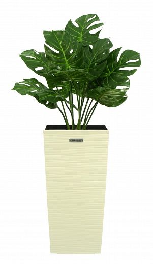 Monstera Tagira Dos cachepot Dekollete Cuno 46 Eco