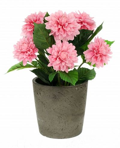 Dahlia Leo cachepot Dekollete Concrete 17