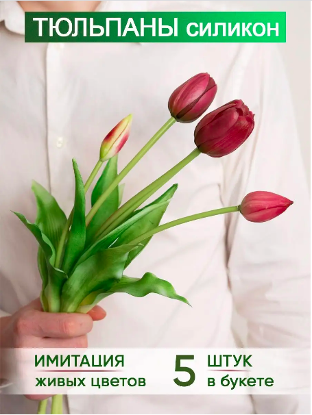 Tulips bouquet of 5 pcs.