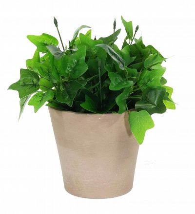 Hedera DioTrez Cachepot Dekollete Concrete 17