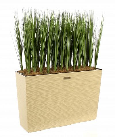 Sedge Harry cachepot Dekollete 36