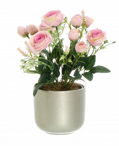 Rose Retro Planter Dekollete 12