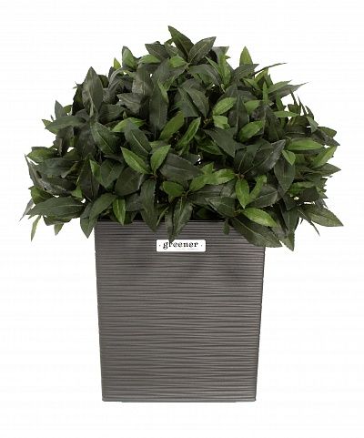 Laurel Corum cachepot Dekollete Clasico 30