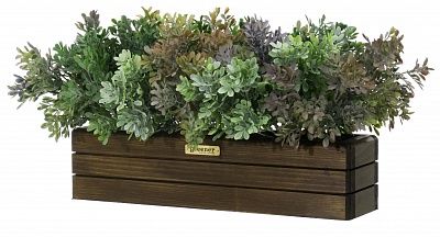 Frontera 40*10 boxwood Nira