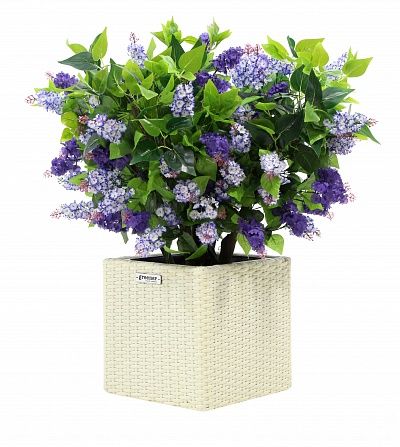 Lilac Chester mini cachepot Dekollete Rattan Cube 32