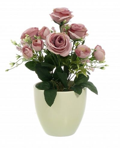 Rose Retro Planter Dekollete 12