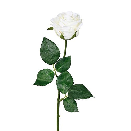 Rose H47,5 cm white