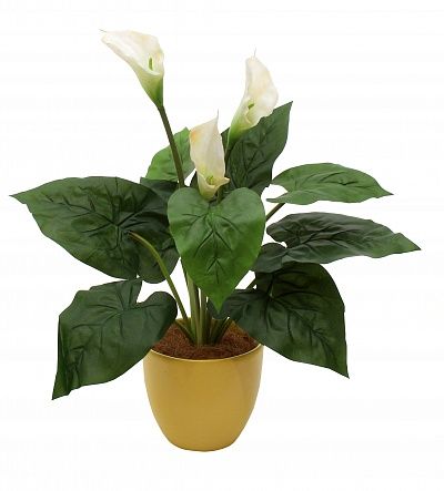 Calla Irby Cachepot Dekollete