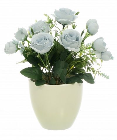 Rose Retro Planter Dekollete 12