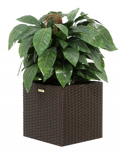 Croton Lake Cachepot Dekollete Rattan Cube 32