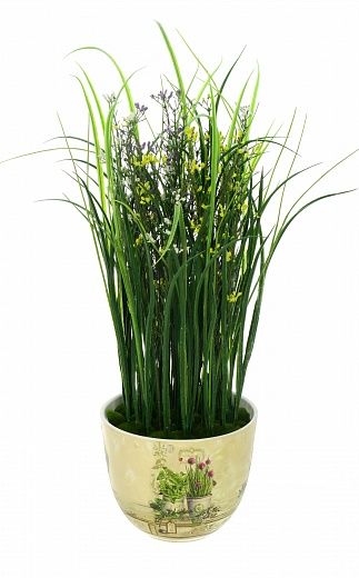 Composition Gypsophila Bilbao Dekollete planter 22 available to order 1 piece