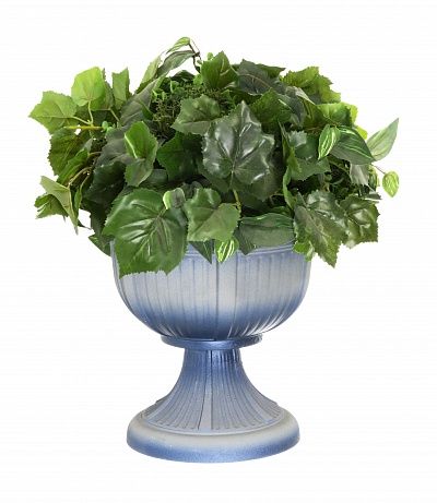 Flower arrangement Hedera Britta Falls available to order 1 piece