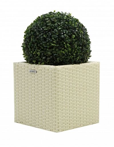 Orb Boxwood Camos in Dekollete Rattan Cube 32