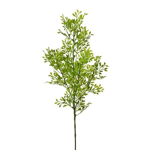 Ruscus branch H70 cm green