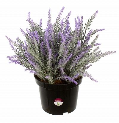 Lavender Sirt cachepot 17