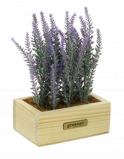 Lavender Sirt cachepot Dekollete Tani 15