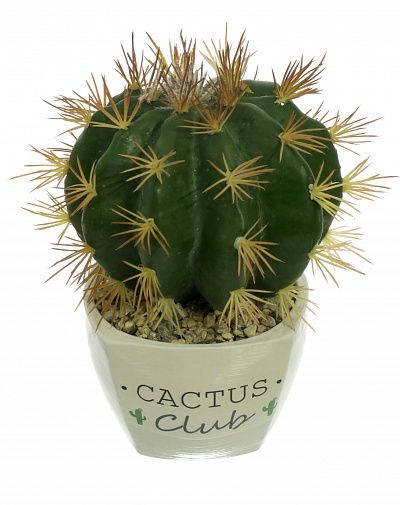 Cactus Tarro Cachepot Dekollete Cactus Club