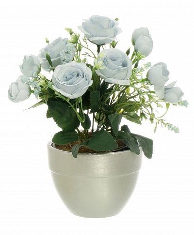 Rose Retro Planter Dekollete 12