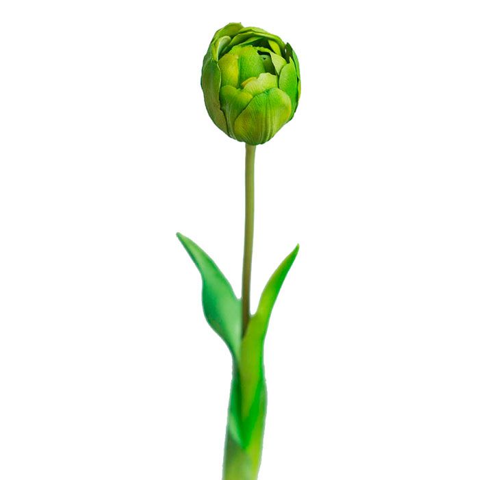 Tulip glass (green)