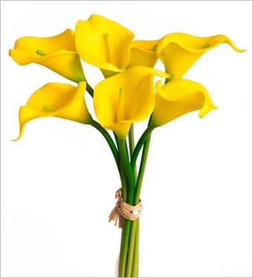 Calla small bouquet, 7 pcs.