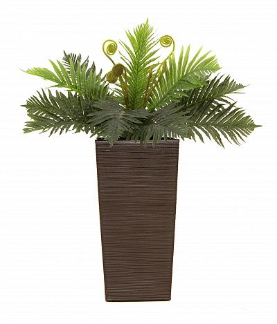 Fern Leslie cachepot Dekollete Kuno 46