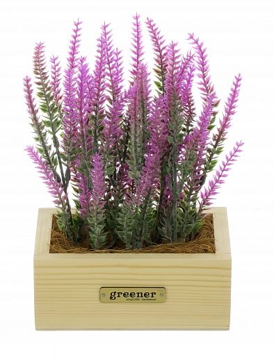 Lavender Sirt cachepot Dekollete Tani 15