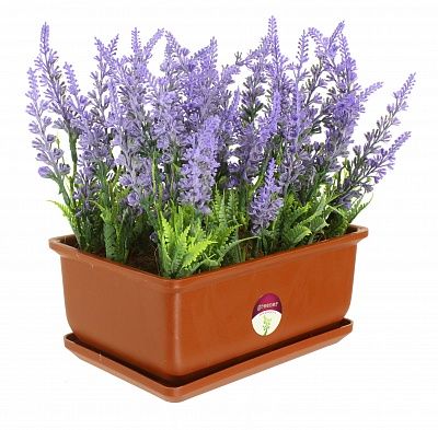 Lavender Tory cachepot Dekollete Bonsai