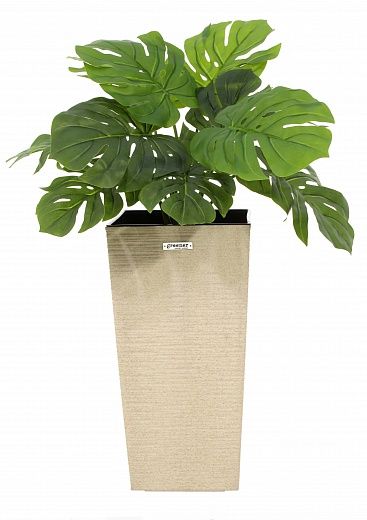 Monstera Moran Duo Cachepot Dekollete Kuno 46 Eco