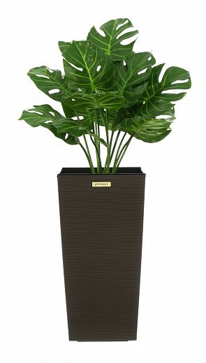 Monstera Tagira Dos cachepot Dekollete Cuno 46 Eco