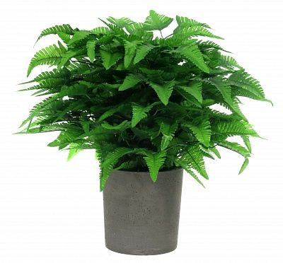 Fern Barvi cachepot Dekollete Concrete 19