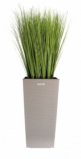 Sedge Angora cachepot Dekollete Kuno 46 Echo