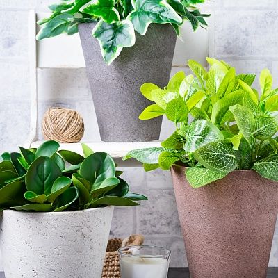 Caladium Ail cachepot Dekollete Concrete 17 set of 3 pieces