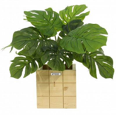 Monstera Moran Duo cachepot Dekollete Chess 20 color