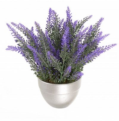 Lavender Sirt Cachepot Dekollete Silver Mini