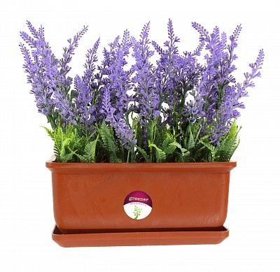 Lavender Tory cachepot Dekollete Bonsai