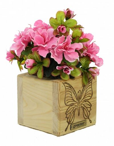 Composition azalea Toledo cachepot Dekollete Wood 12 available to order 1 piece